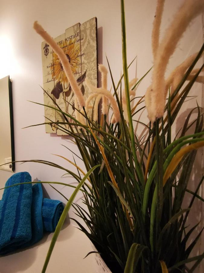 Rotermanni Mere Apartment 塔林 外观 照片